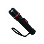 Stun Gun
