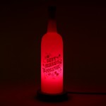 Best Friends Forever Lamp