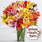 flowers-300×300