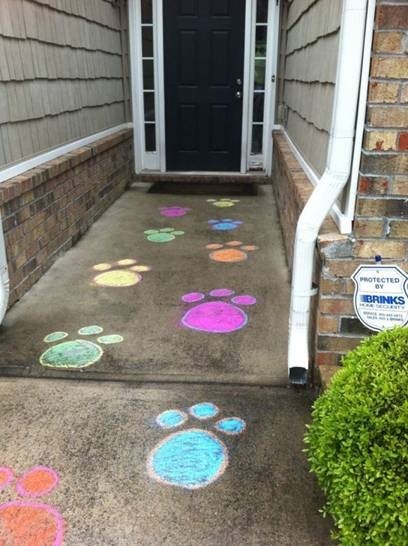 Paw Prints Everywhere
