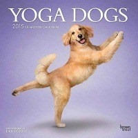 The Seniors Yoga DVD for Parents