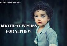 BIRTHDAY WISHES FOR NEPHEW FROM AUNT
