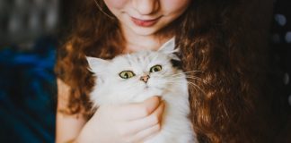 gifts for cat lovers