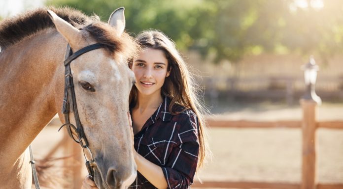 Gifts For Horse Lovers