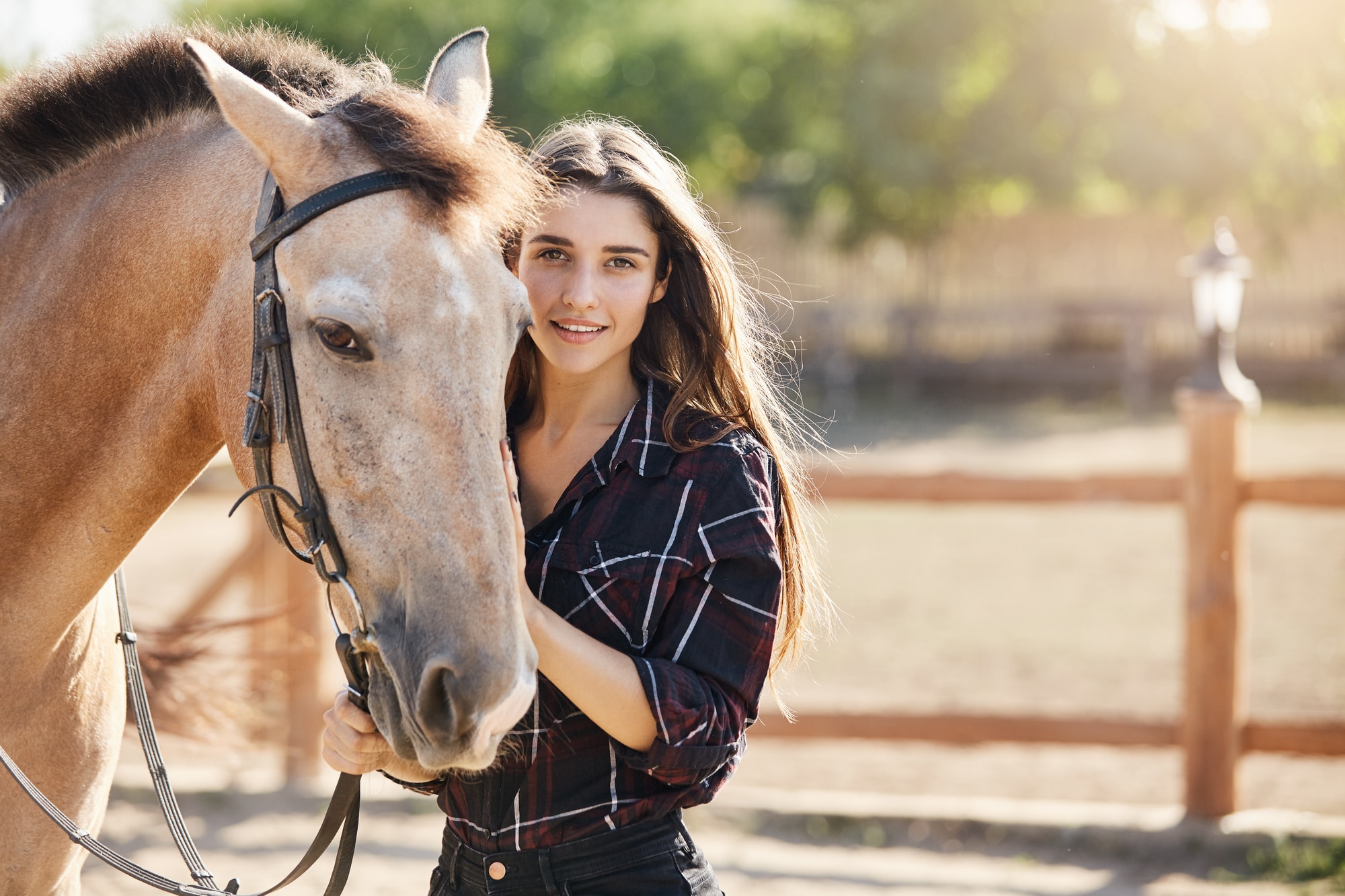 Gifts For Horse Lovers